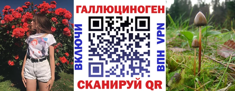 Галлюциногенные грибы Cubensis  Мглин 